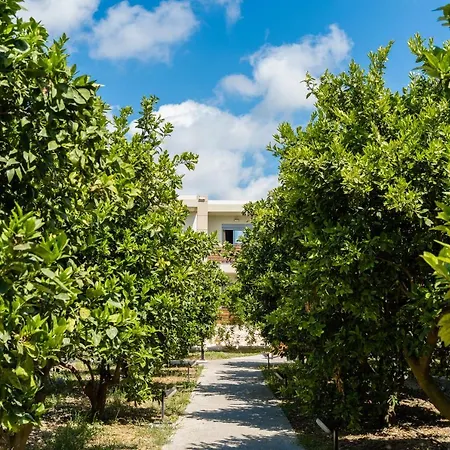 Ilyssion Holidays Apartment Ialysos (Rhodes)