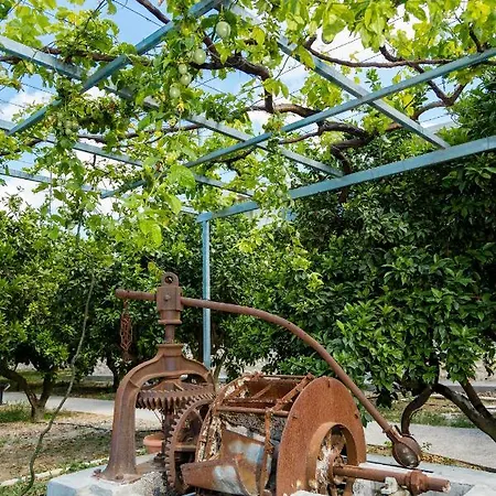 Apartmán Ilyssion Holidays Ialysos (Rhodes)