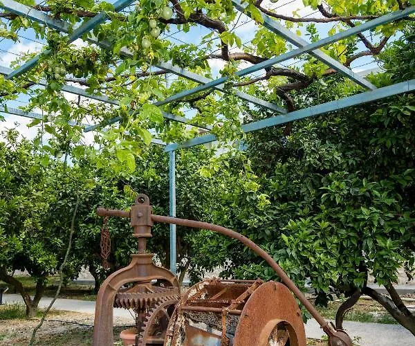 Apartman Ilyssion Holidays Jaliszósz